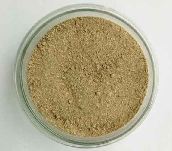 生香酵母对白酒的影响