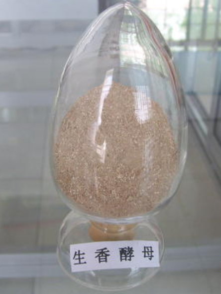 生香酵母和酱油香气的关系